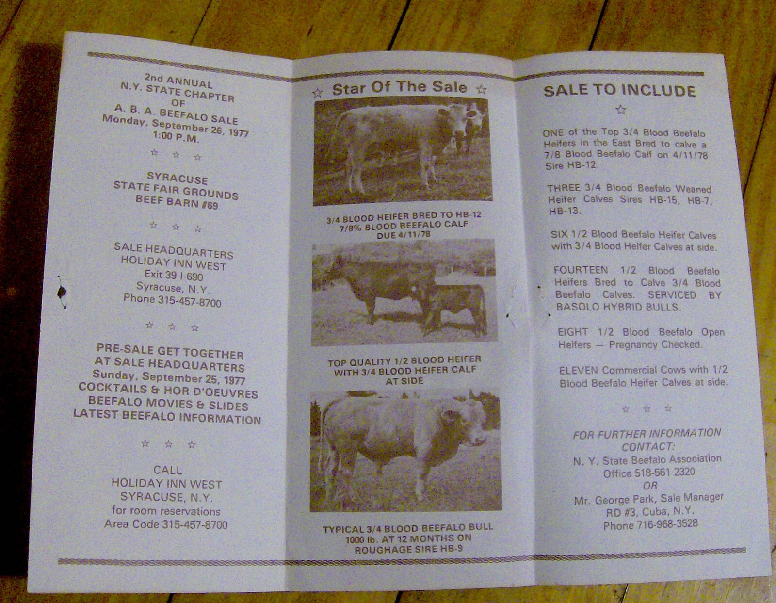 RARE vintage 1977 BEEFALO AUCTION brochure satalog BEEF FARMING buffalo CATTLE