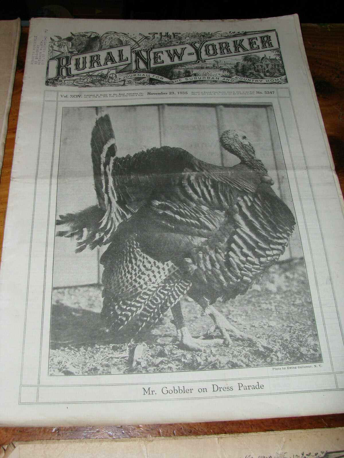 Eleven Vintage 1923-1941 The Rural New Yorker Journal Newspaper