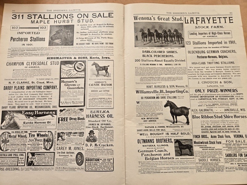 Nov 13, 1901 Breeder&rsquo;s Gazette Weekly Union Stock Yards Intl Exposition Chicago