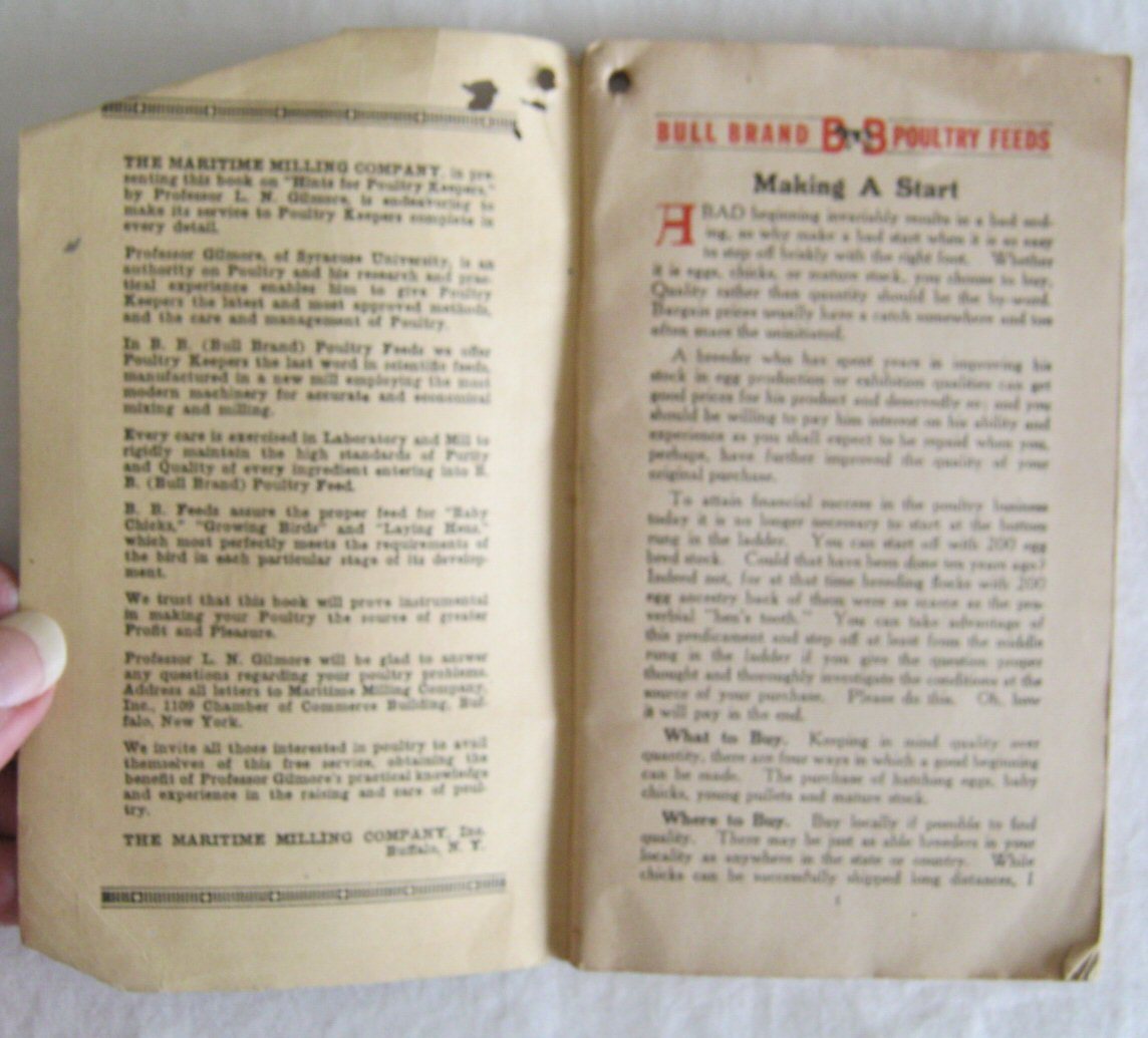 Hints For Poultry Keepers Prof L N Gilmore Bull Brand Poultry Book Undated