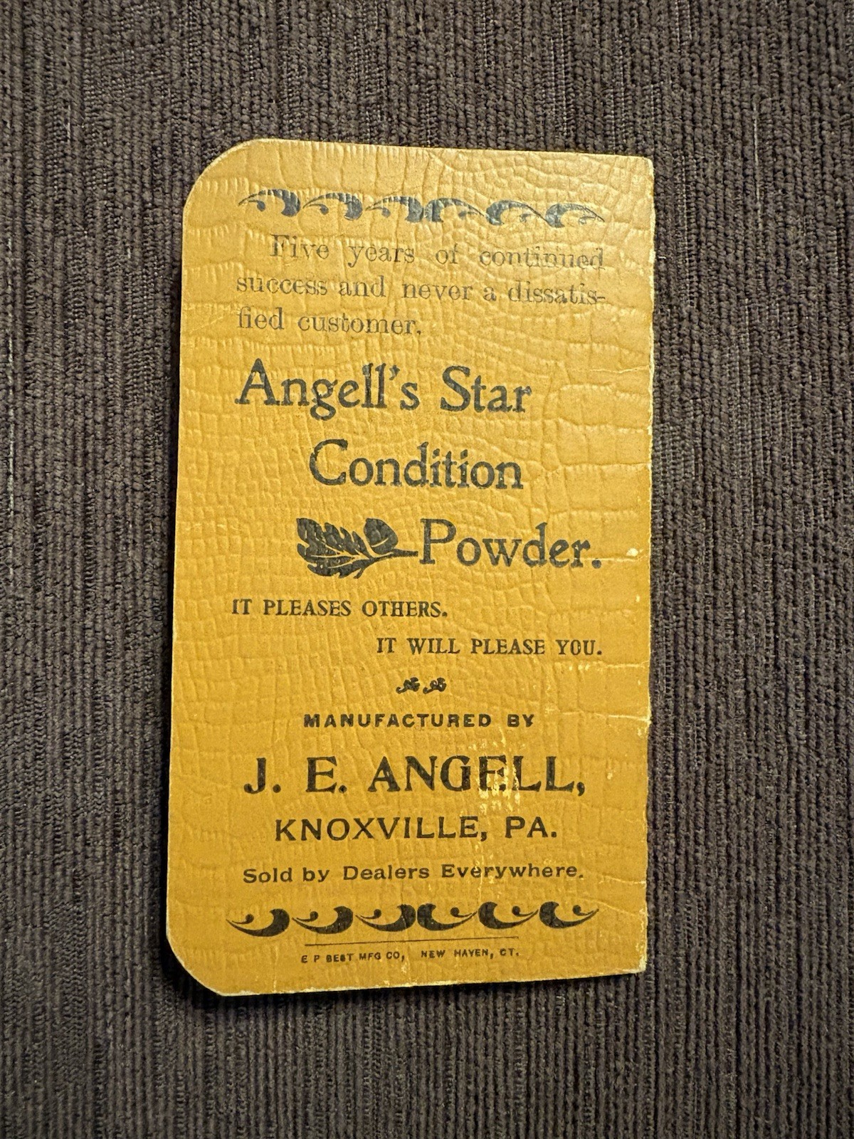 Antique Angell’s Star Condition Powder Knoxville PA Advertising Memo Notebook