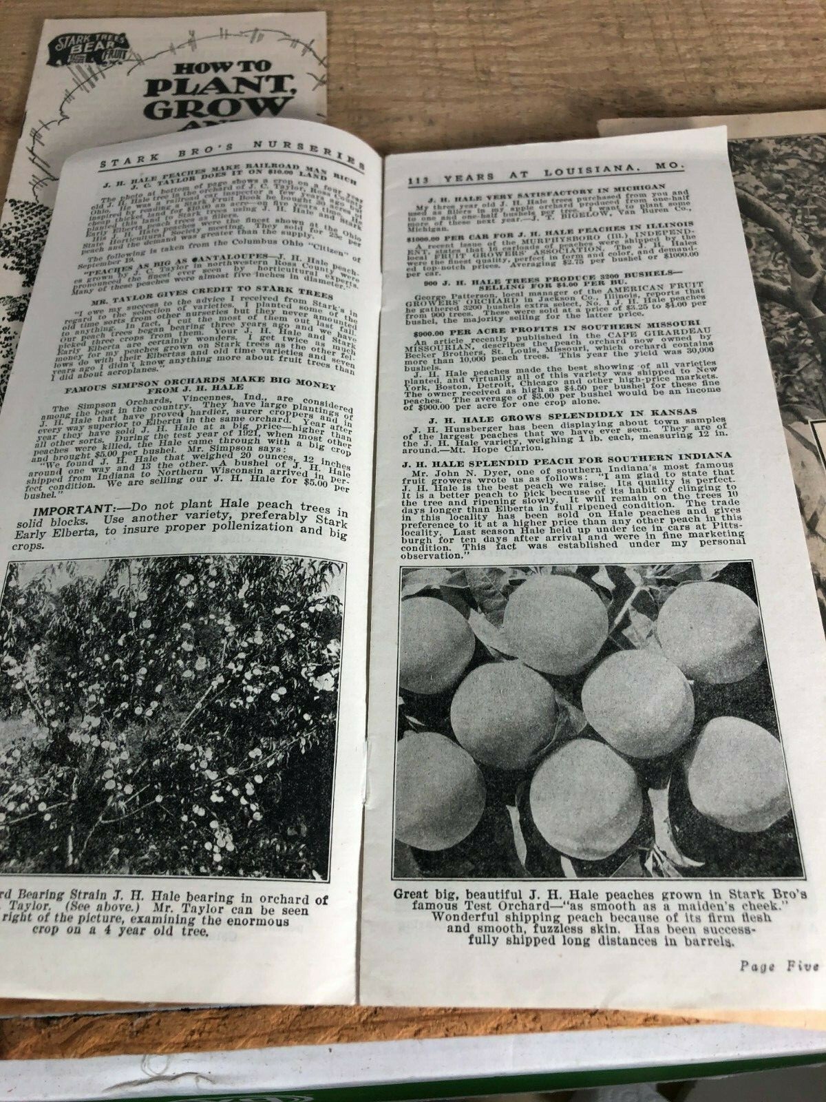 4 Vintage 1930s Stark Bro&rsquo;s Nurseries Orchard Fruit Trees Brochures Catalogs
