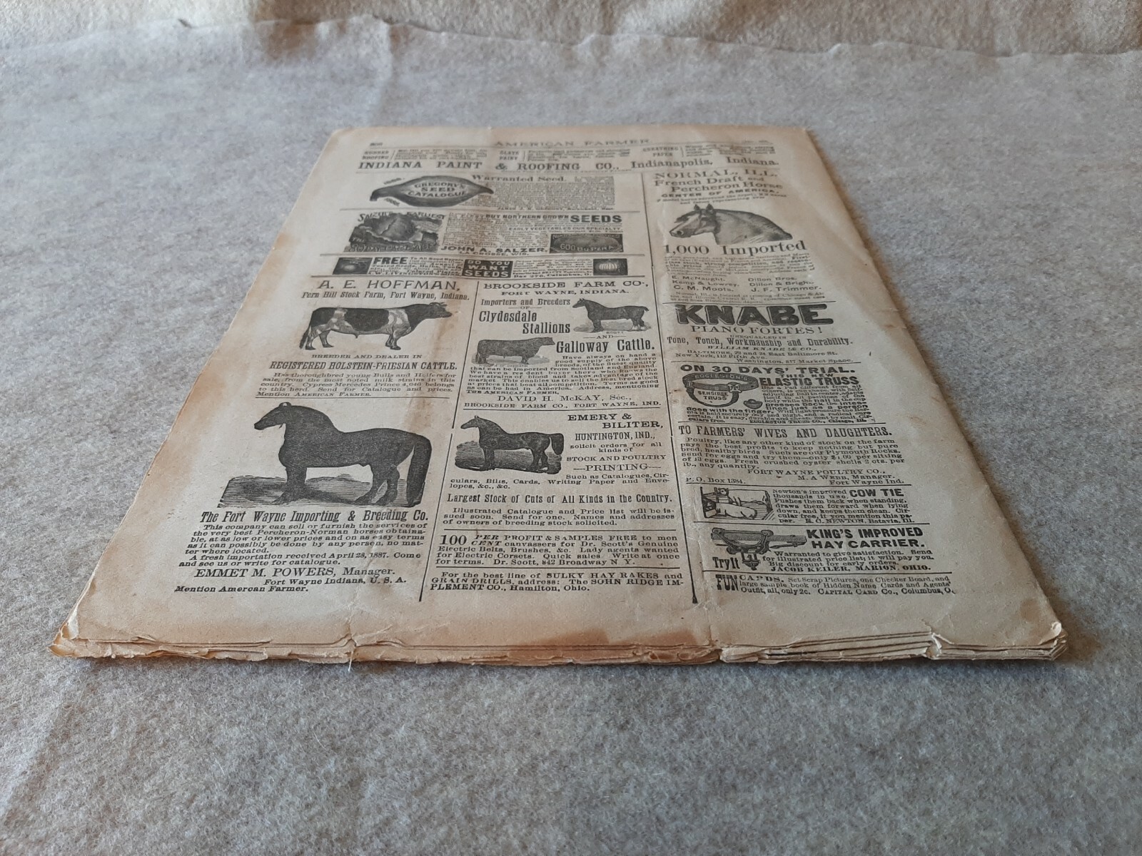 Jan. 1888 AMERICAN FARMER Magazine Fort Wayne Indiana No. 1 Vol. 8 Galloway Bull