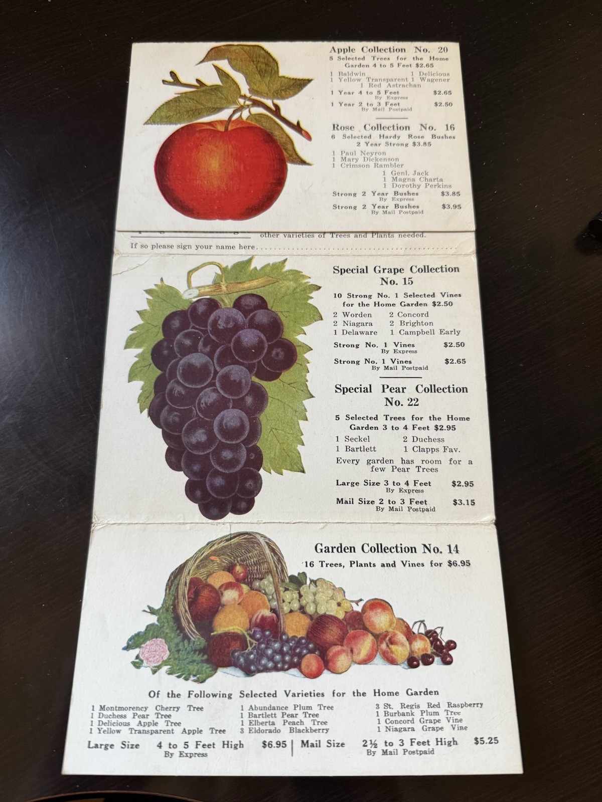 Pomona United Nurseries Dansville NY Postcard Folder Order Postcard Full Color