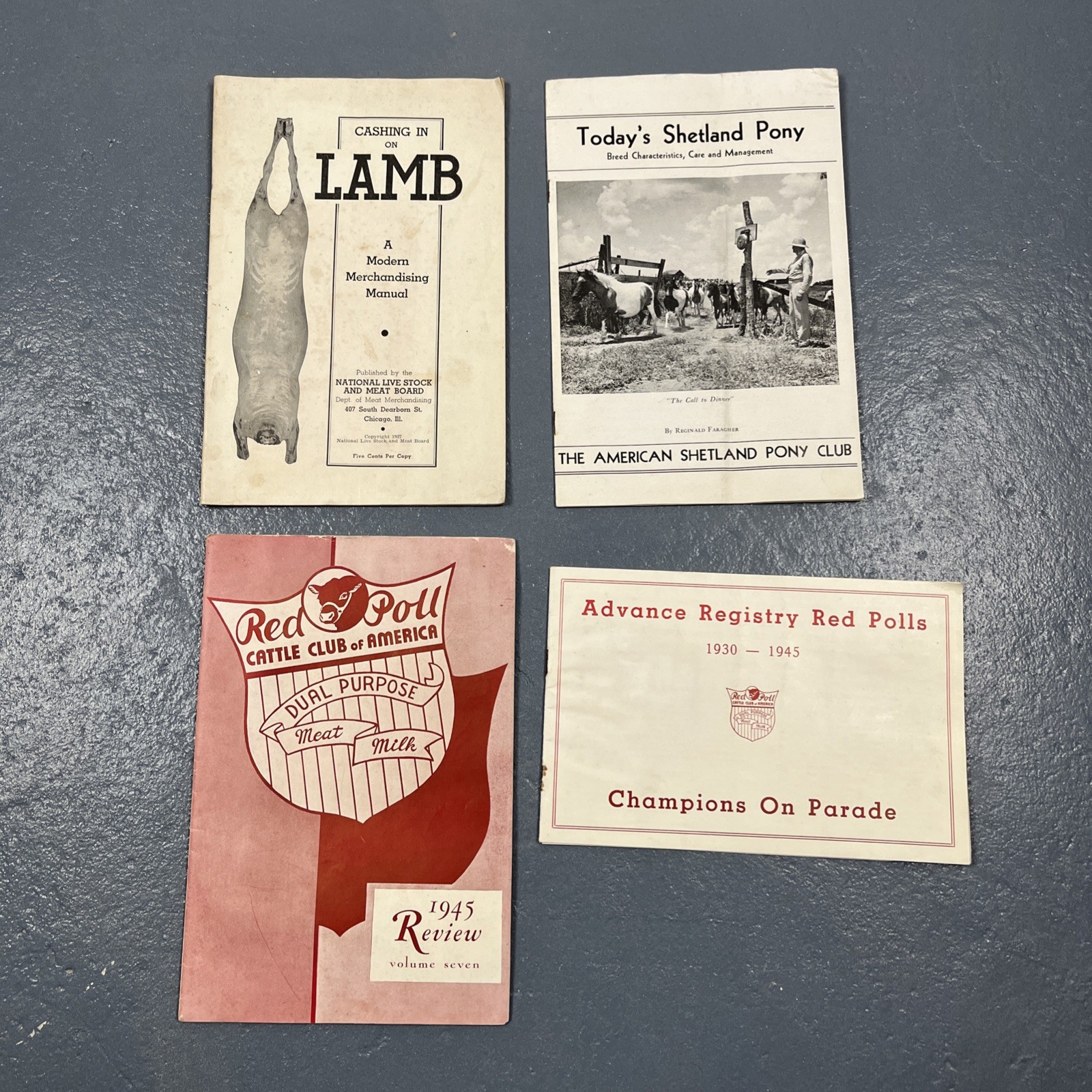 Lot Of Vintage 1930s & 1940s Farming Ephemera Livestock Cattle Club VTG Animal