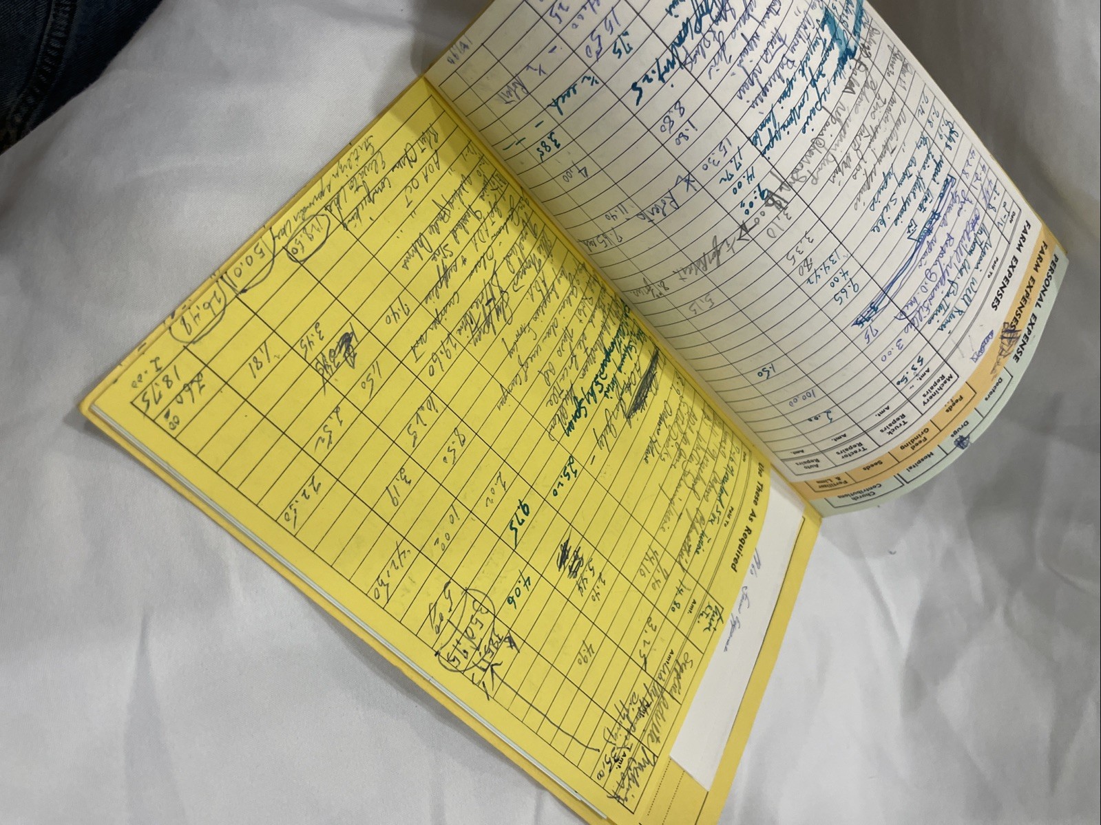 Norseland MN Farmers Record Book