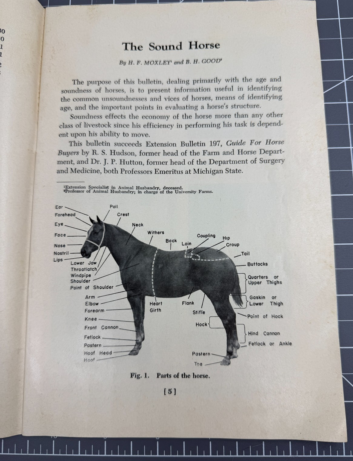 Vintage Feb. 1969 Pamphlet Booklet – The Sound Horse – Michigan State Unv. MSU