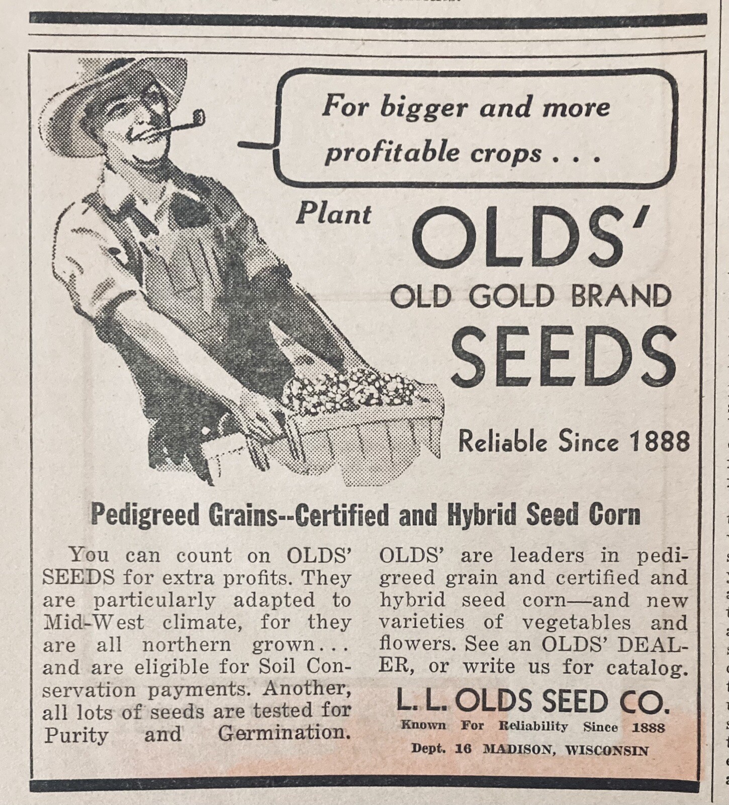1938 AD.(XH18)~L.L. OLDS SEED CO. MADISON, WIS. OLDS’ OLD GOLD BRAND SEEDS