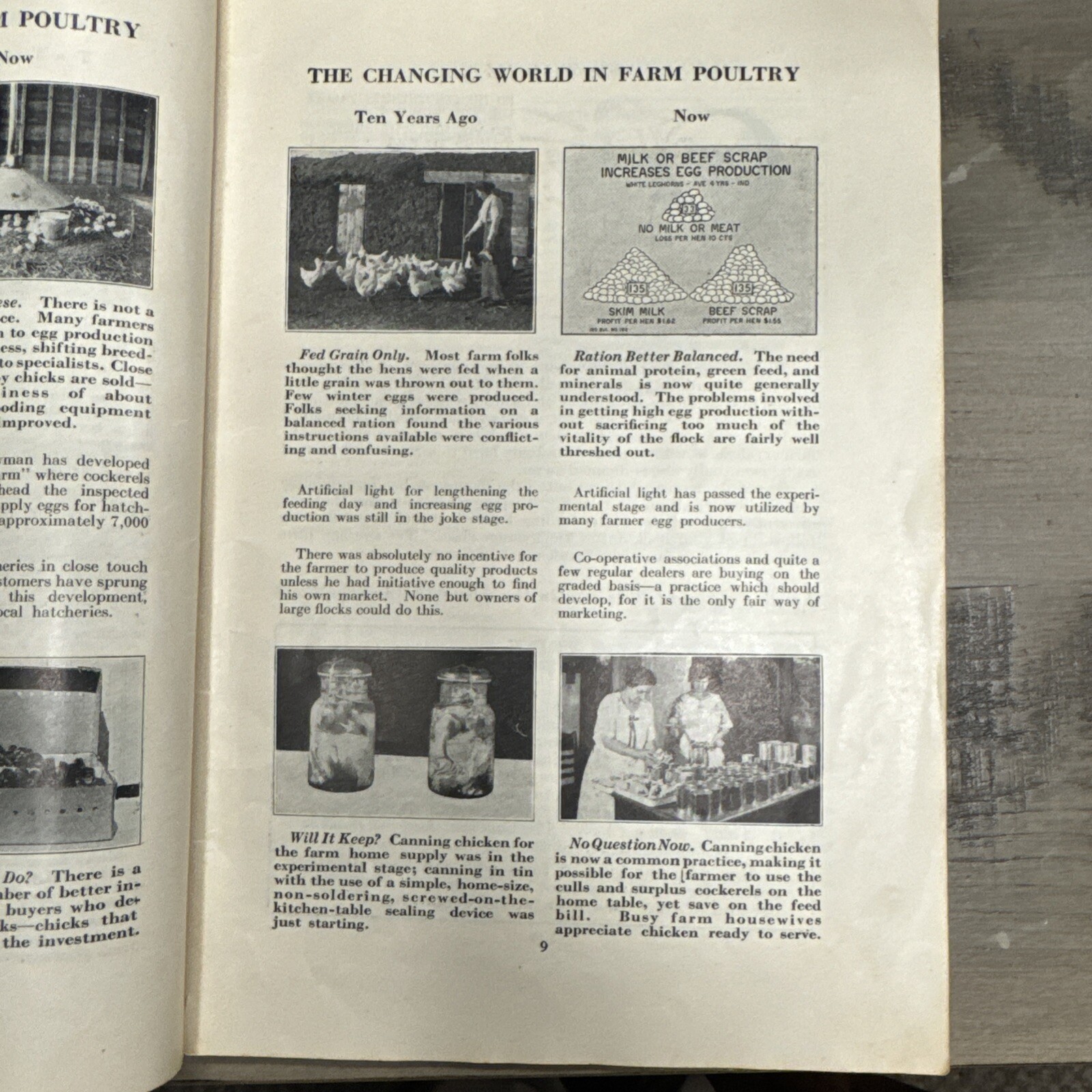 1926 Farm Poultry Pays International Harvester Company Booklet