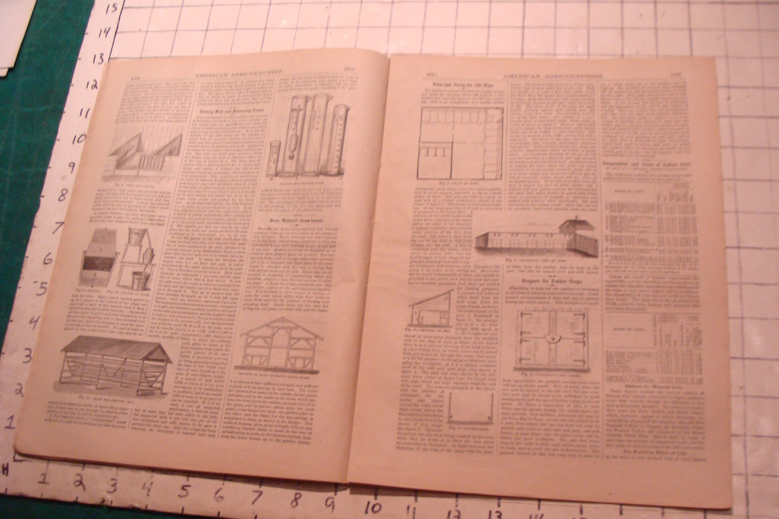 Vintage American Agriculturist 1879 May; great DOGS, SHEEP, MACHINES,