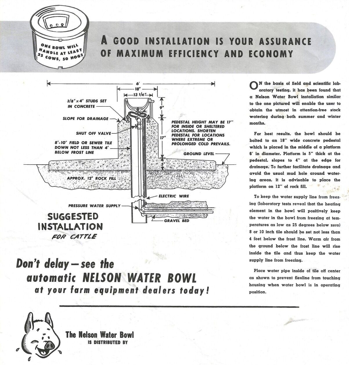 Nelson Automatic Water Bowl Livestock Cow Agricultural Flyer Advertisement