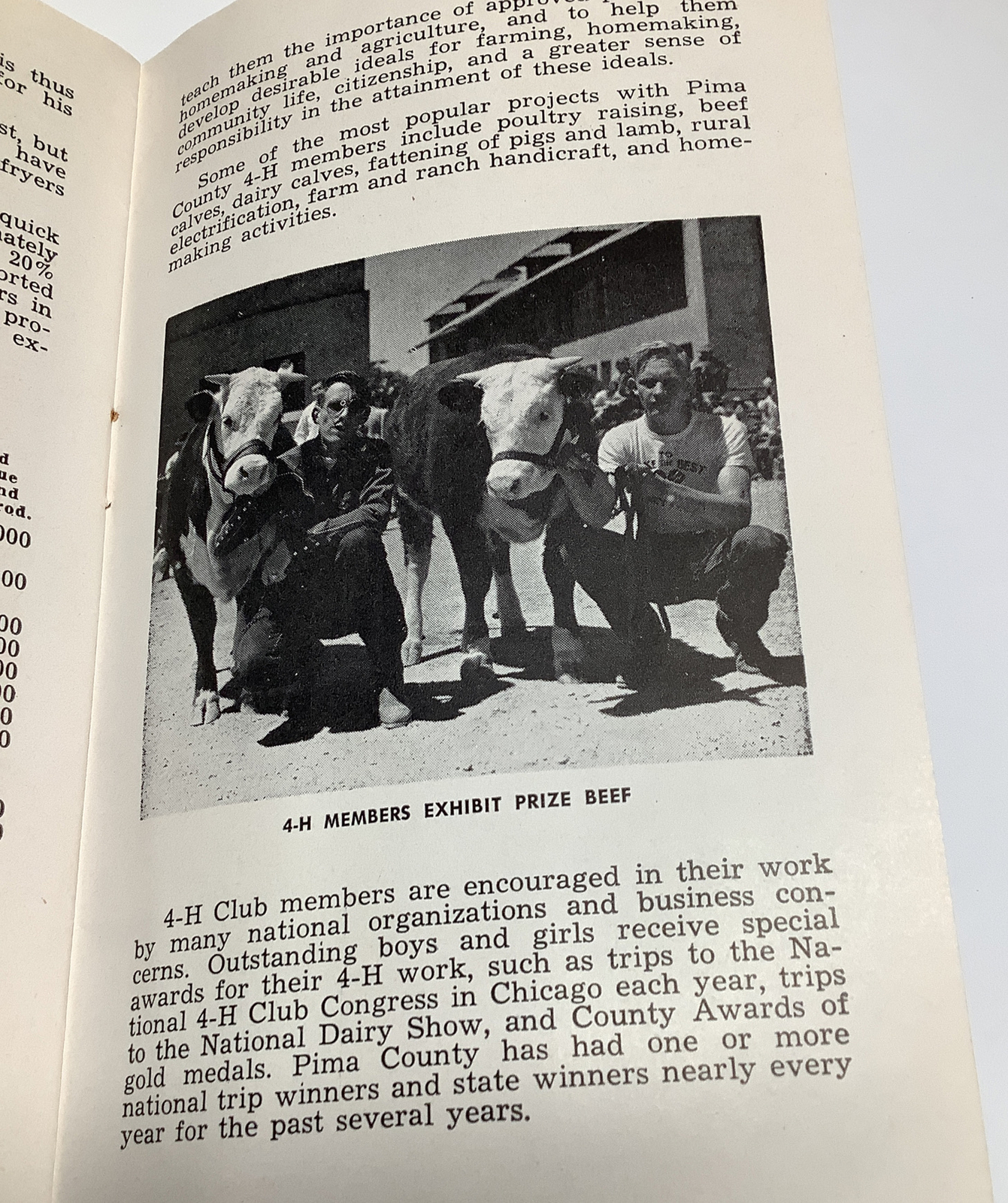 Vintage 1950’s Pima County Arizona Farming & Livestock Informational Bulletin