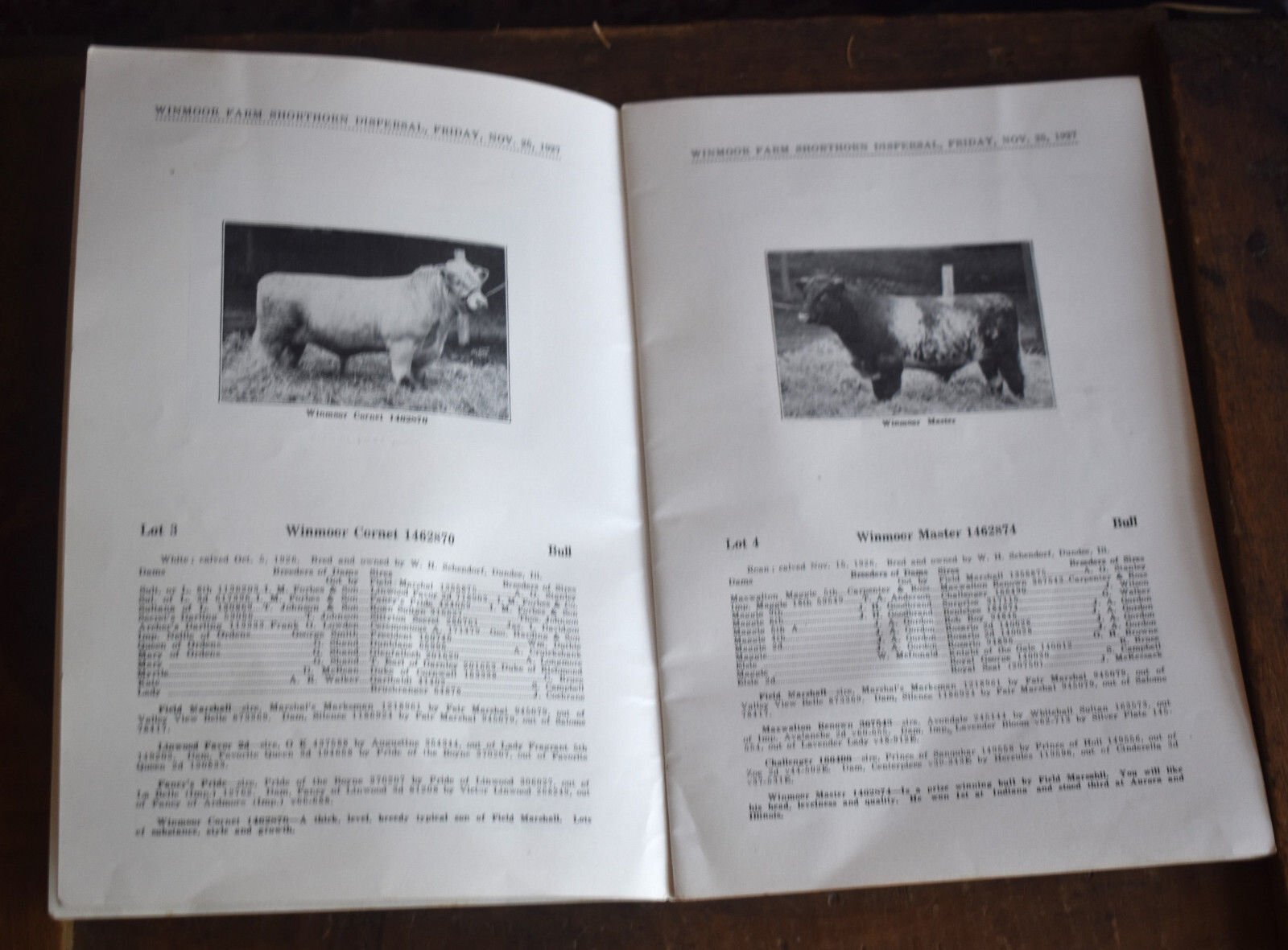 Vintage 1927 Shorthorn Cattle Auction Catalog Advertising Winmoor Farm Dundee IL
