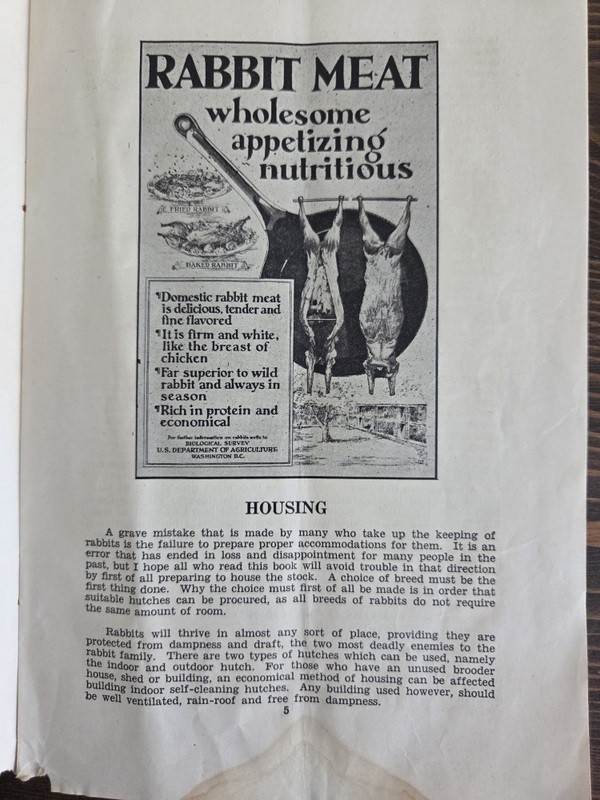 c1930 Rabbit Raising How to Begin Agriculture Advvertising Montgomery Ward & Co.