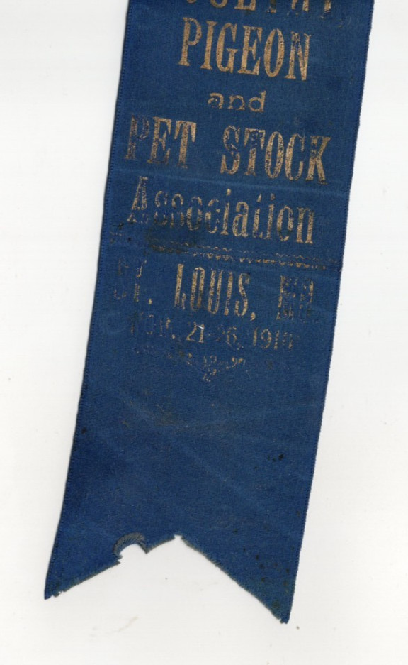 1910 – St. Louis Poultry Pigeon and Pet Stock Association 1st Prize Ribbon XL2Z