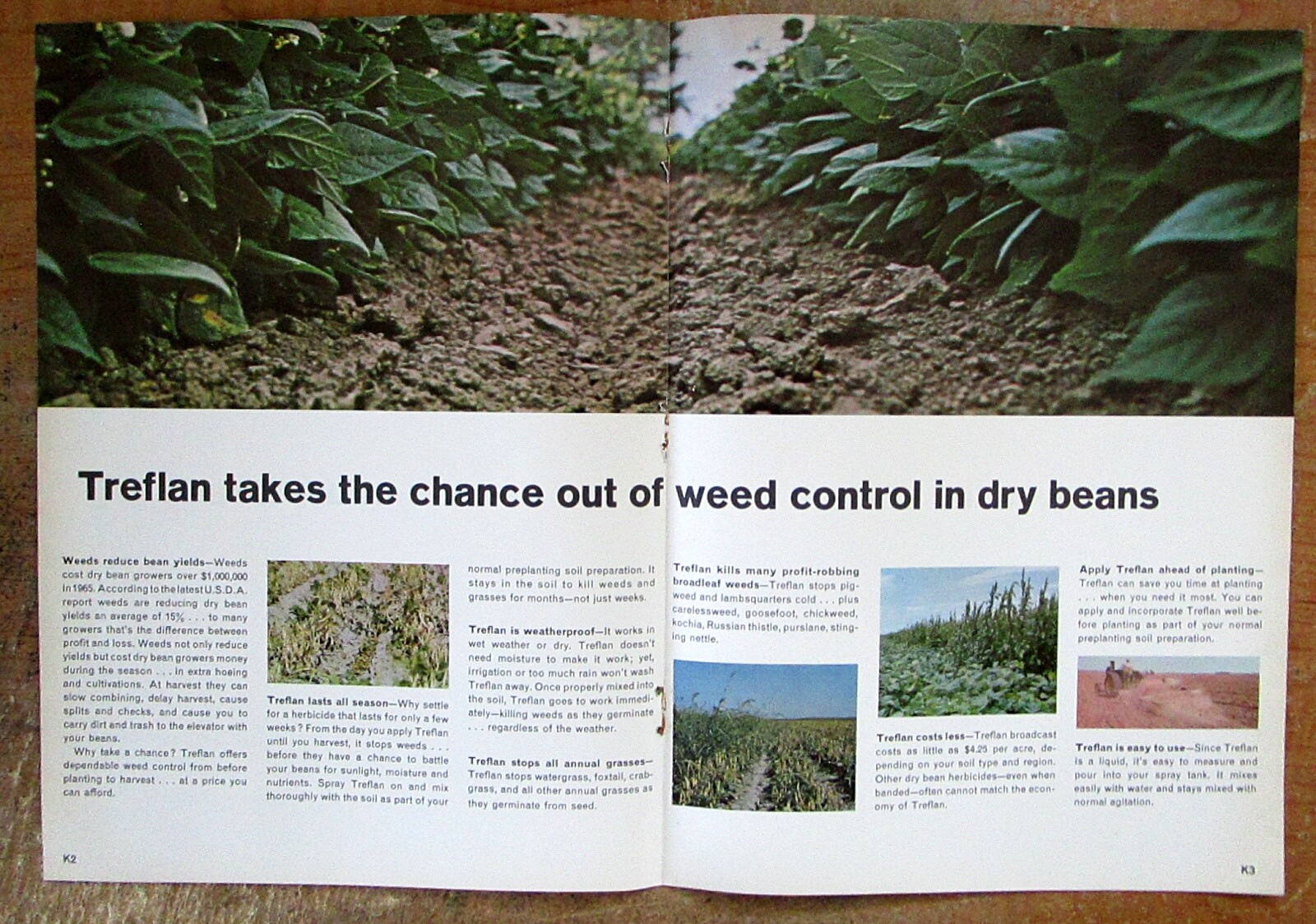 Lot of (2) 1960&rsquo;s Elanco Treflan Weed Killer Bean Fields Original Color Brochure
