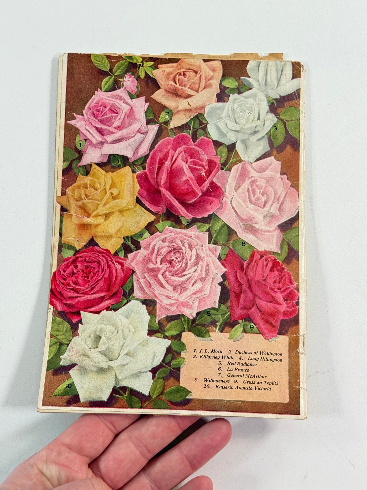 1924 May Seed Advertising Catalog Shenandoah Iowa IA