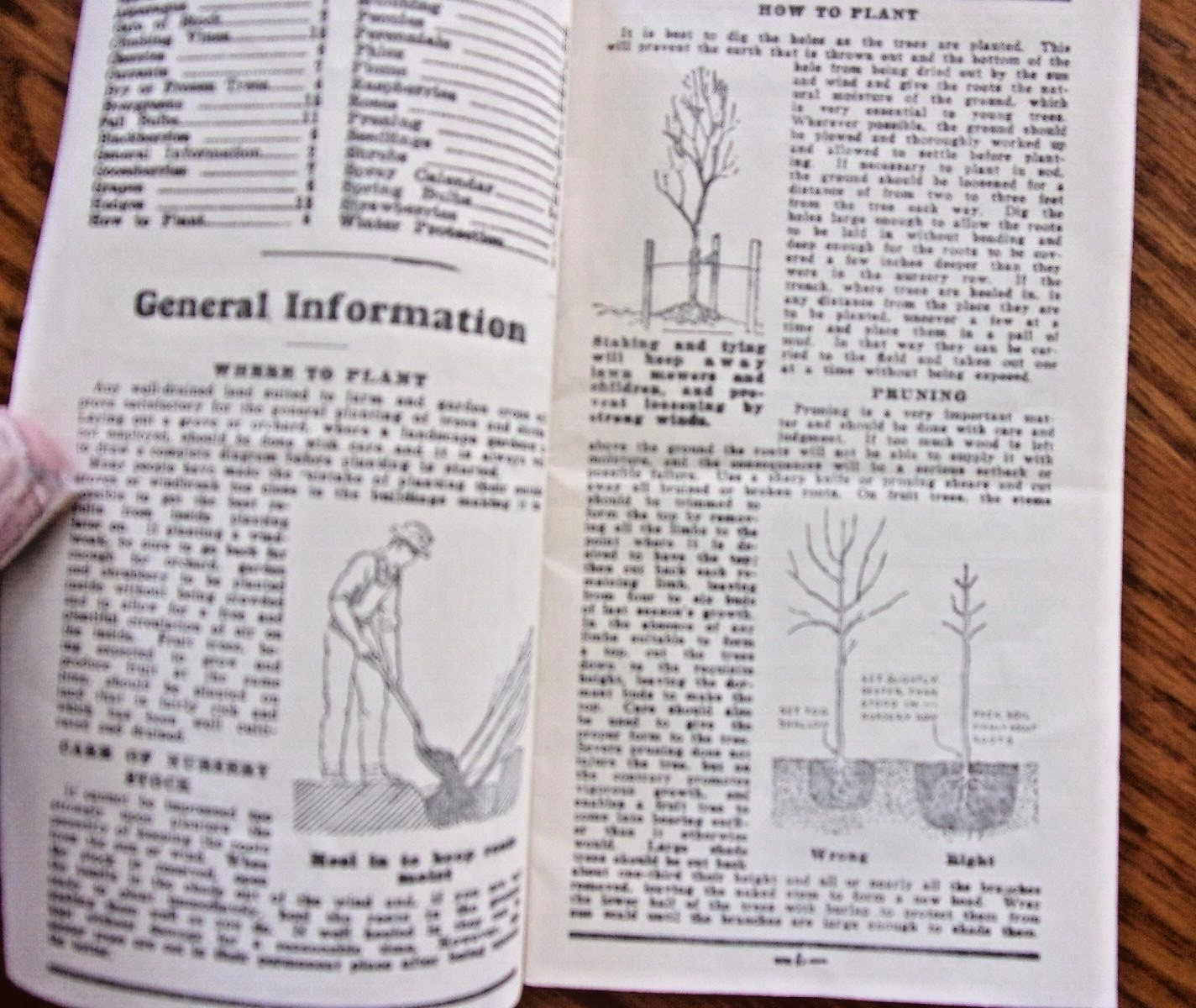 VINTAGE OWATONNA MINNESOTA CASHMAN NURSERIES PLANTING & CARE BROCHURE 1940&rsquo;S?