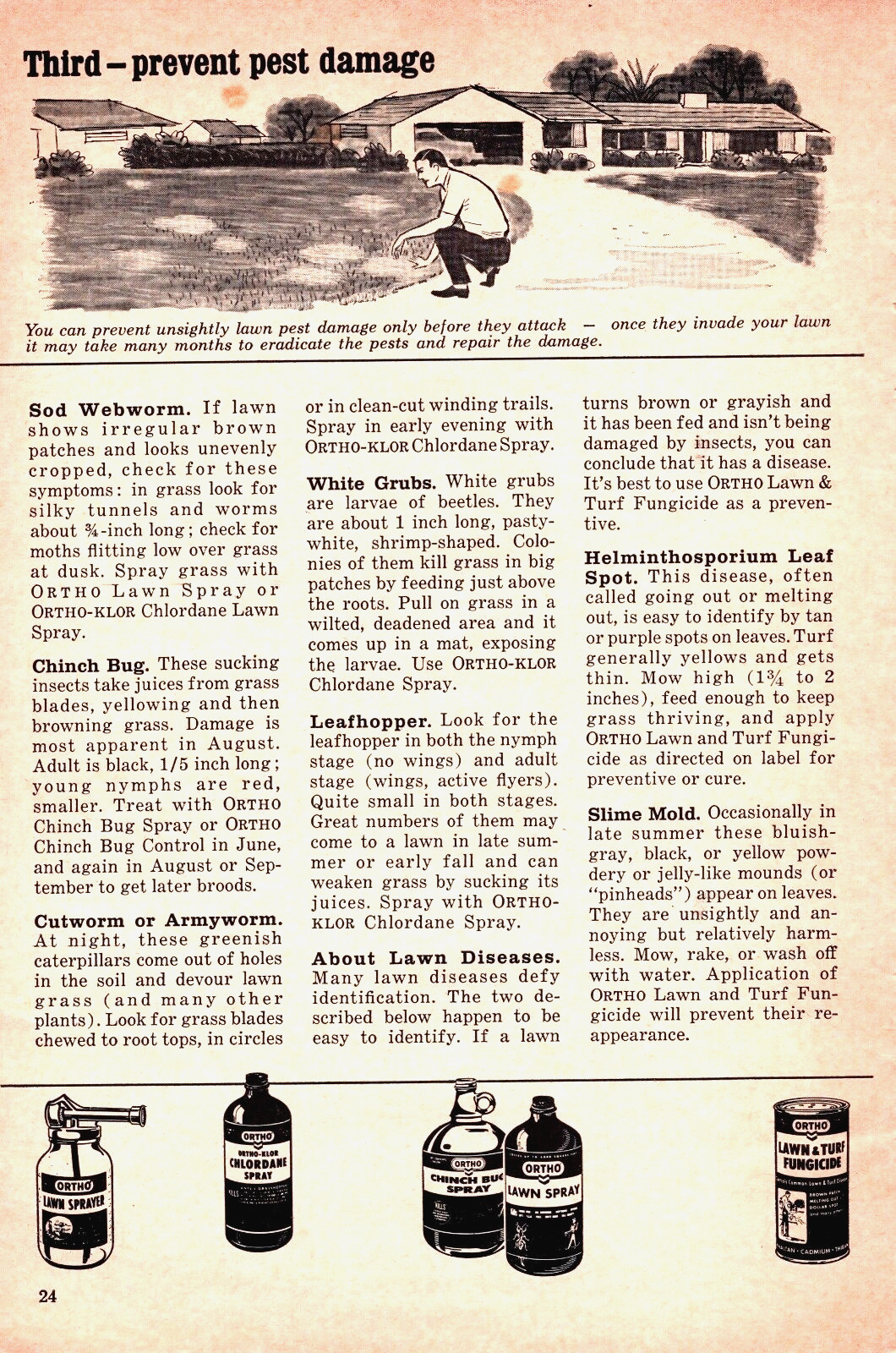 C. 50&rsquo;s 3 PAGE Ortho Lawn ~ Vintage Print Ad~ The Laws OF The Lawn~ Lawn Sprayer