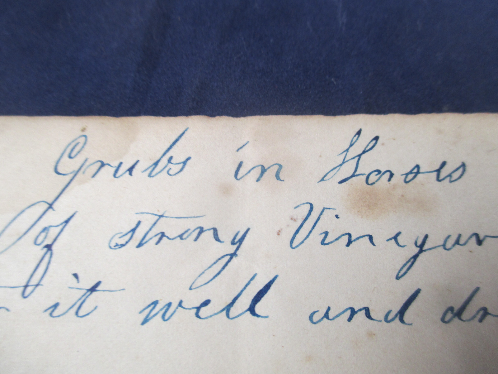 FARMING HISTORY – SALE of CALF – FARM TIPS DOCUMENT – “1888 “ BILL OF SALE