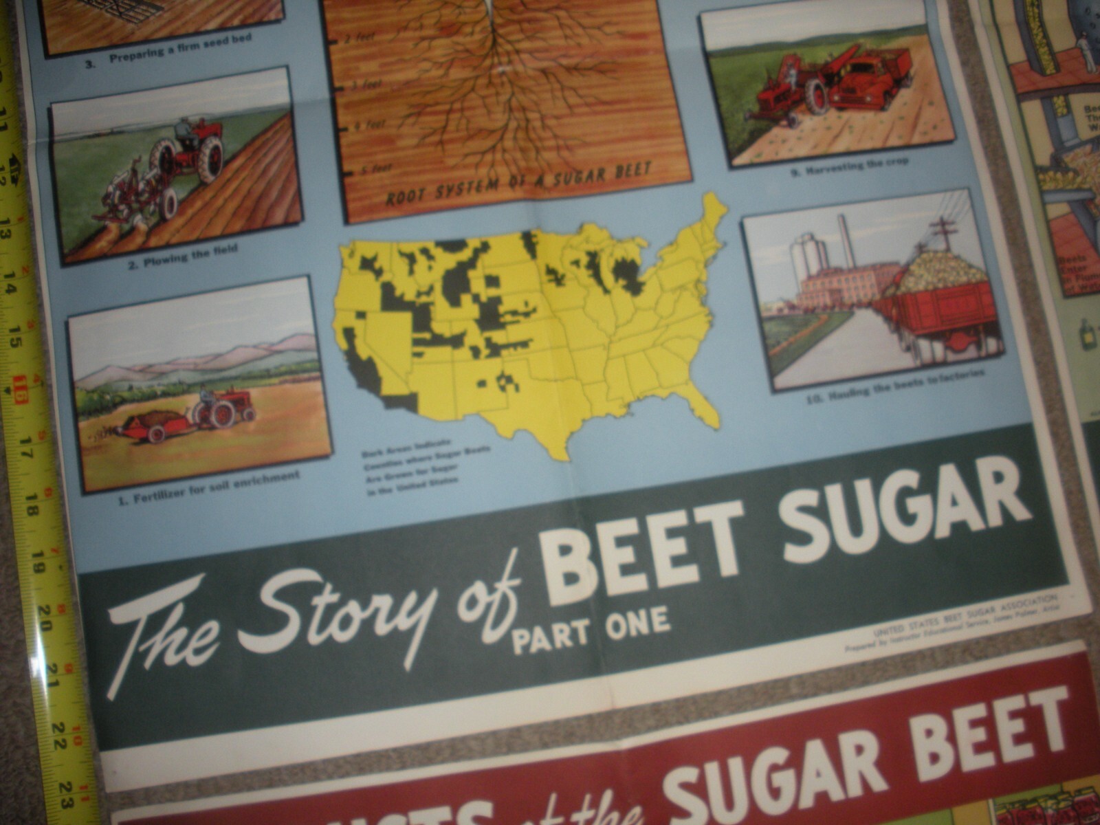 Rare Vintage 1950&rsquo;s? Extracting STORY Beet Sugar food Factory COMPLETE SET OF 4