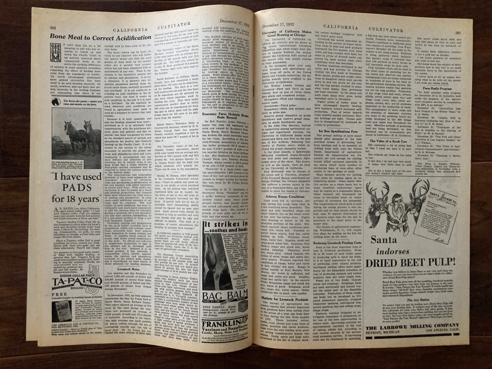 California Cultivator Agricultural Newspaper 1932 Biweekly Lot of 19 VHTF