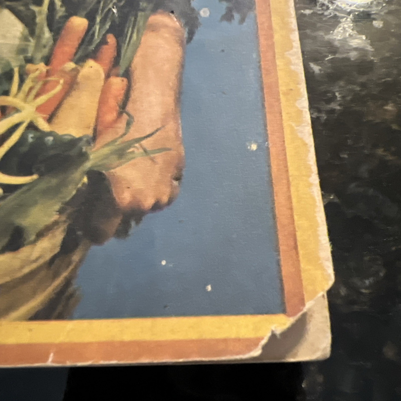Vintage Booklet Harvest Gold Texaco Farm Manual 1943