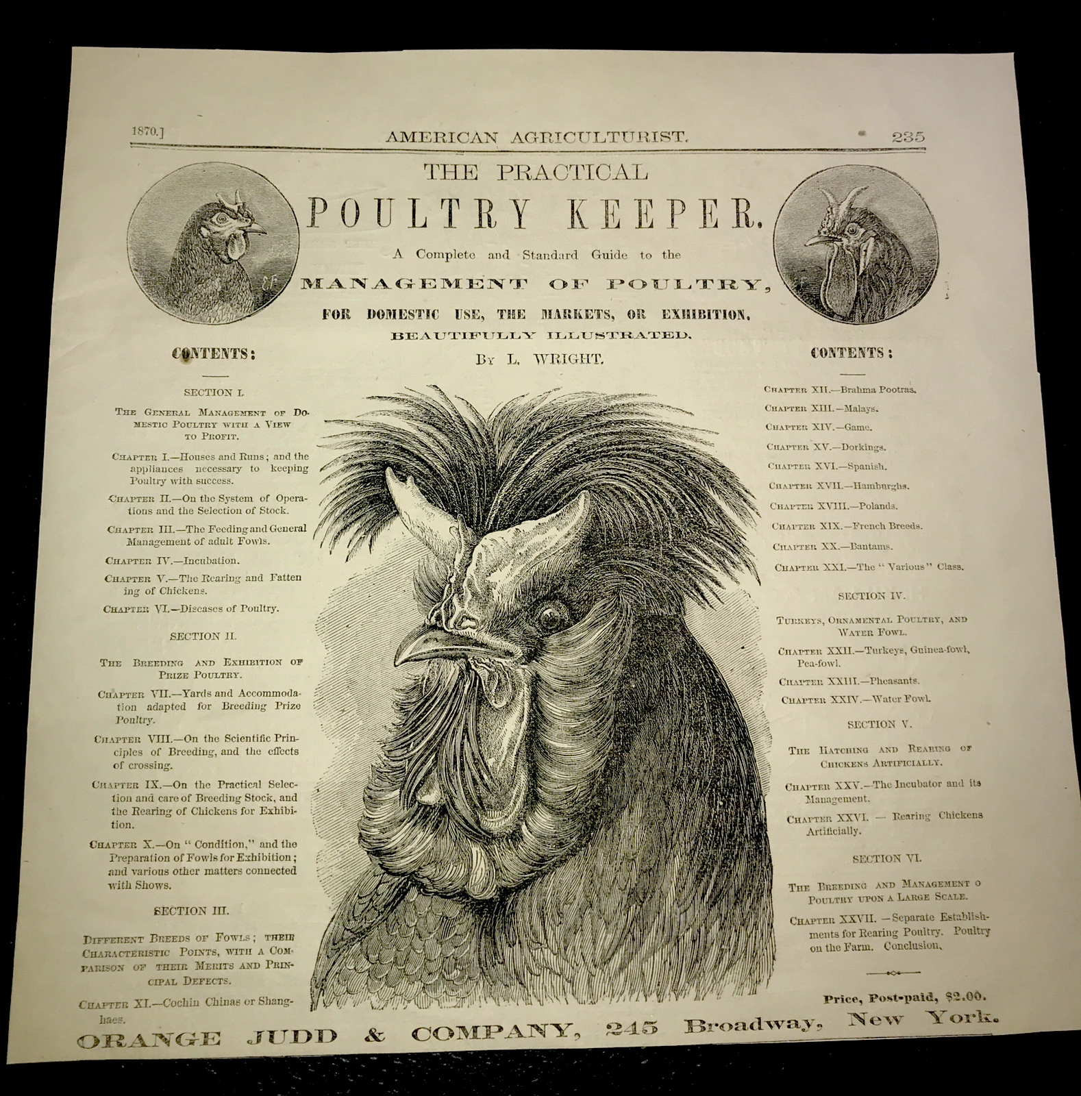 1870 Poultry Chicken Rooster Cock Hen Farm Engraving Advertising