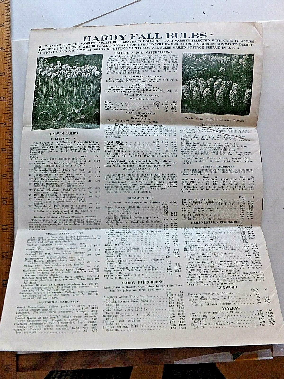 1938 Bountiful Ridge Nurseries, Princess Anne, MD. Complete Price List for Fall.