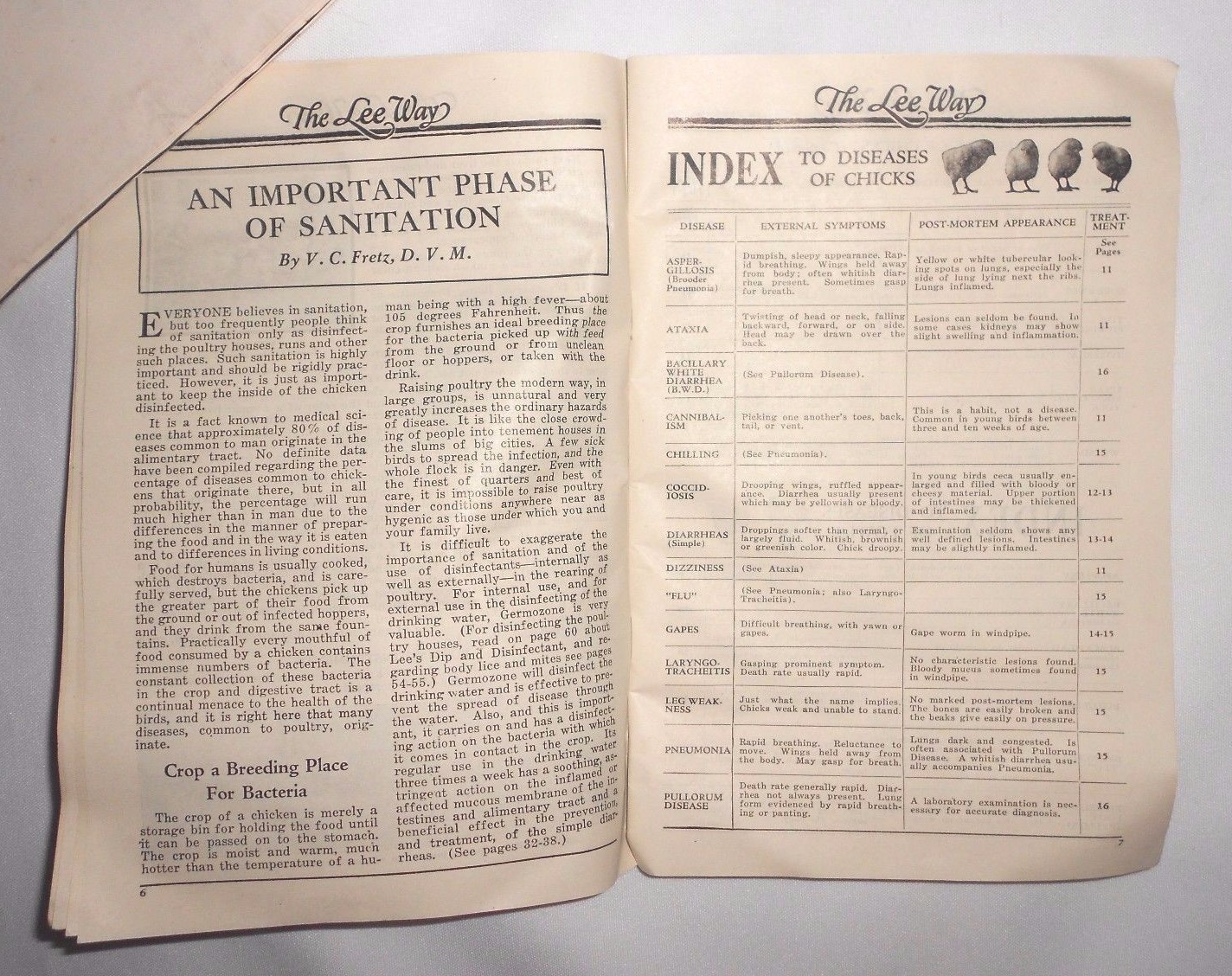 Vtg 1934 Lee Way Poultry Catalog Farm Diseases Advertising Chickens Fowl Cattle