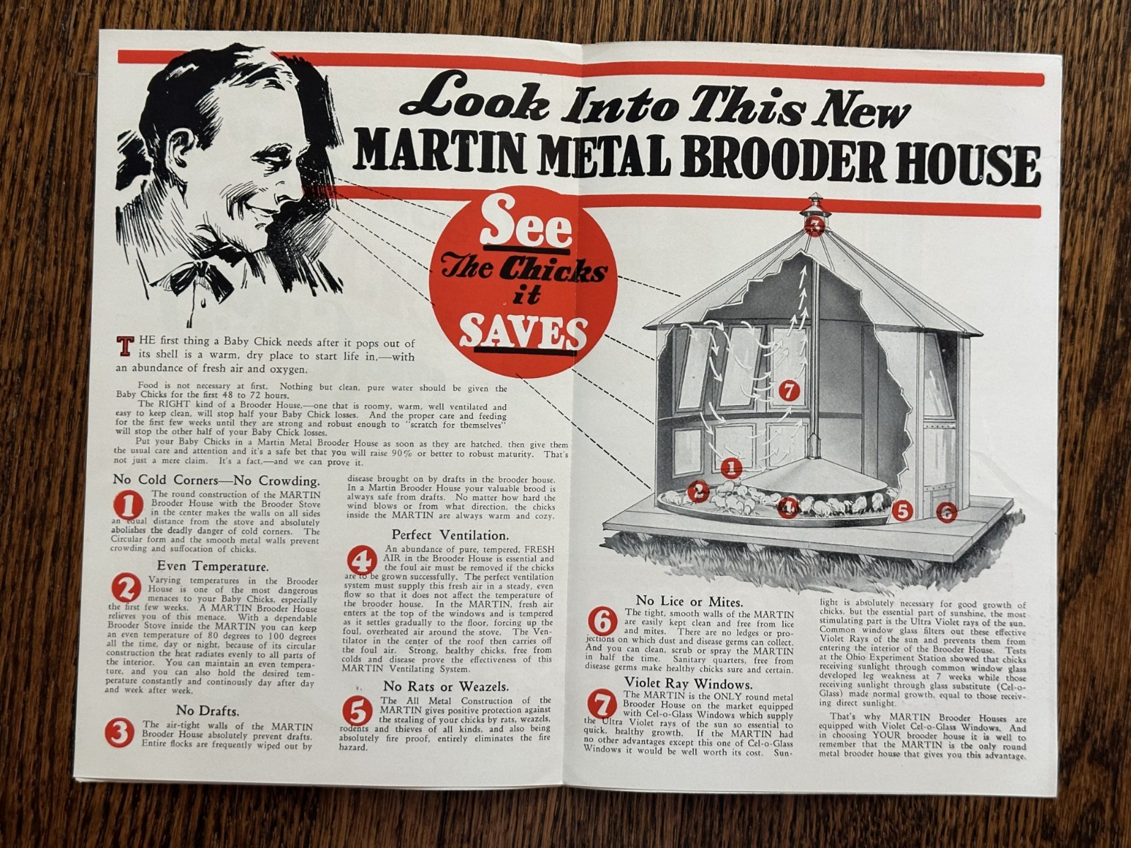 1930s Martin Poultry CHICKEN Brooder House FARM Advertising Mansfield OH Vintage