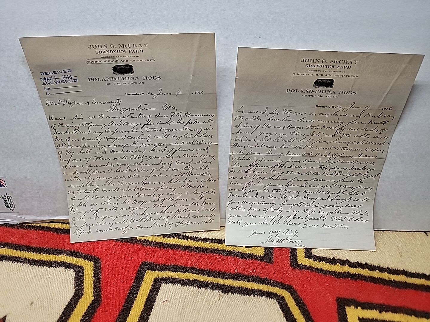 1916 JOHN McCRAY GRANDVIEW FARM POLAND-CHINA HOGS Letterhead / 1123-tf2