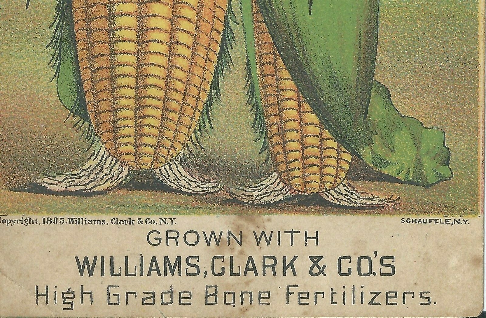 Williams Clark Schaufele NY Bone Fertilizer Victorian Trade Card Ad 1880s Indian