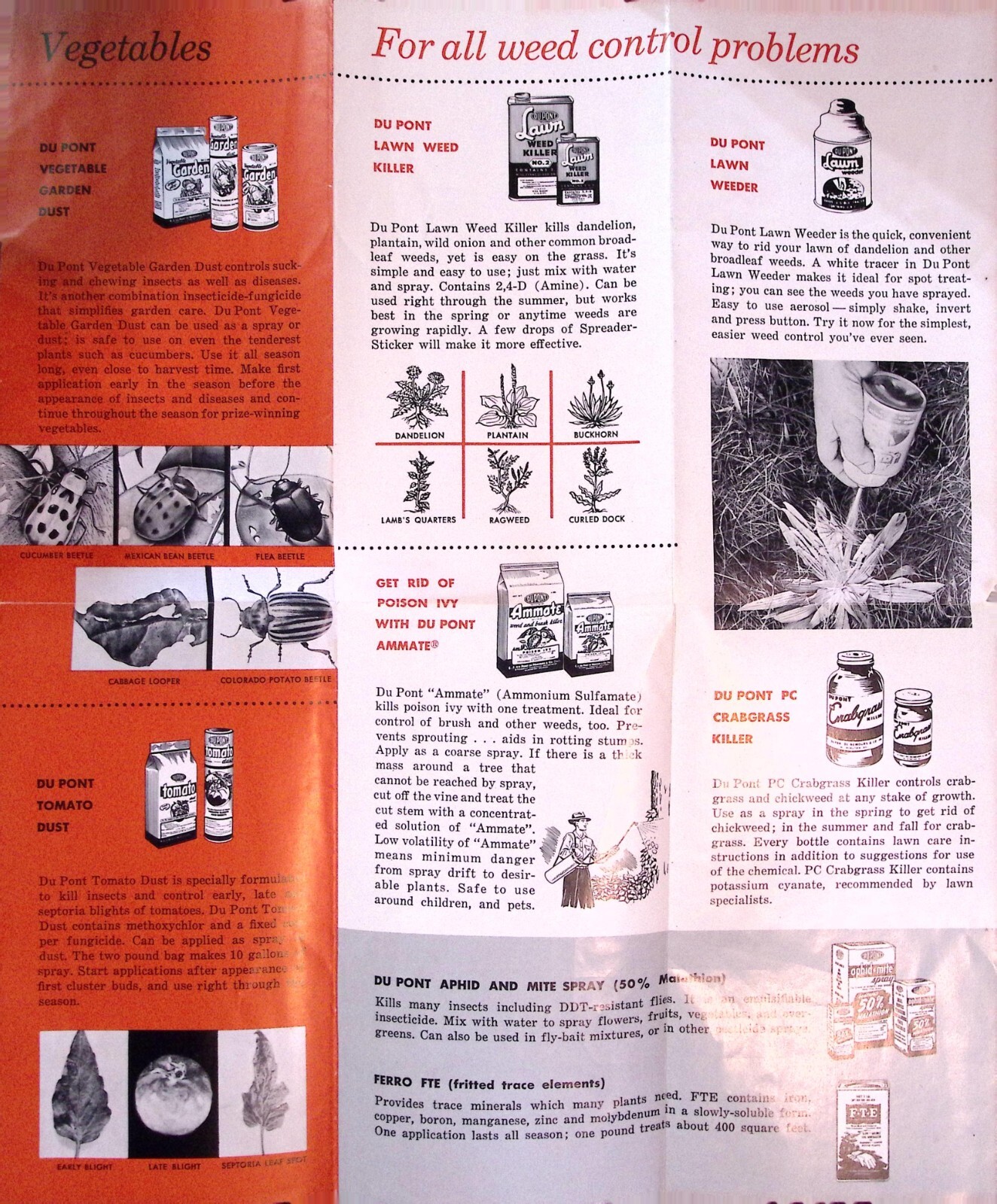 DuPont Garden Chemicals Brochure Vintage Advertising