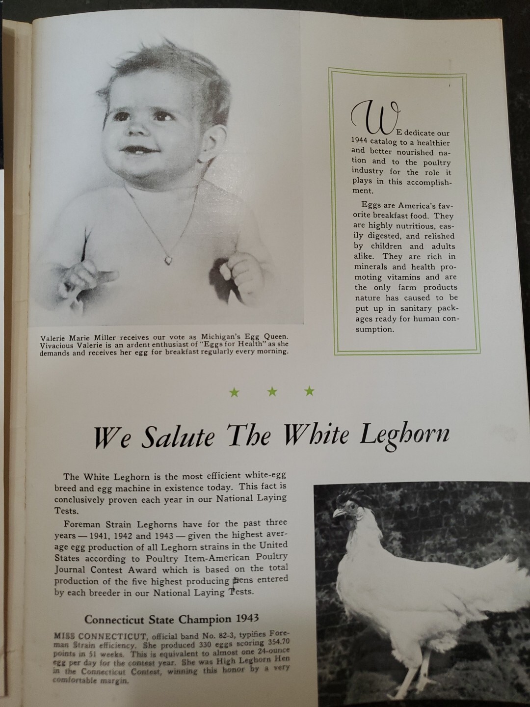1944 Foreman Poultry Farm Catalog Chickens Beautiful & RARE 🐔