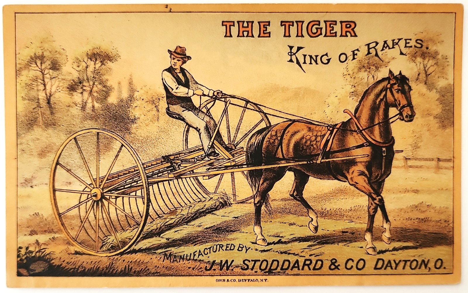 1880s Tiger Sulky Rake Agricultural Ad Victorian Trade Card Stoddard Dayton OH