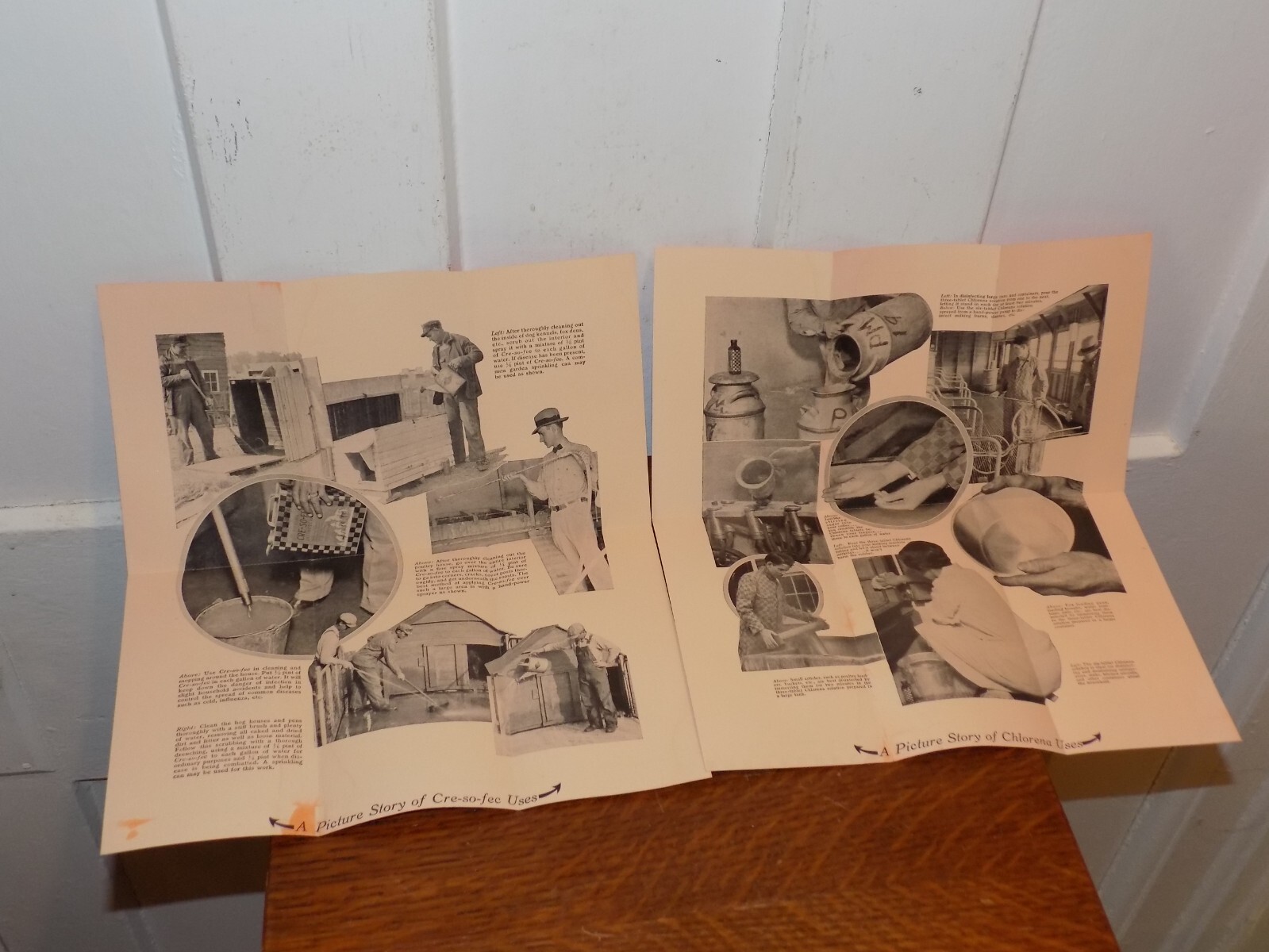 Vintage Pair of Purina Chlorena and Cre-So-Fec Pamphlets