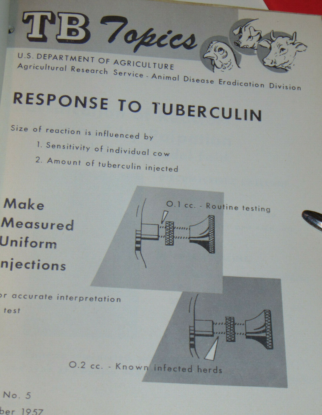 VINTAGE 1950s-60s USDA ANIMAL TUBERCULOSIS ERADICATION TB MANUAL! SMALL POSTERS!