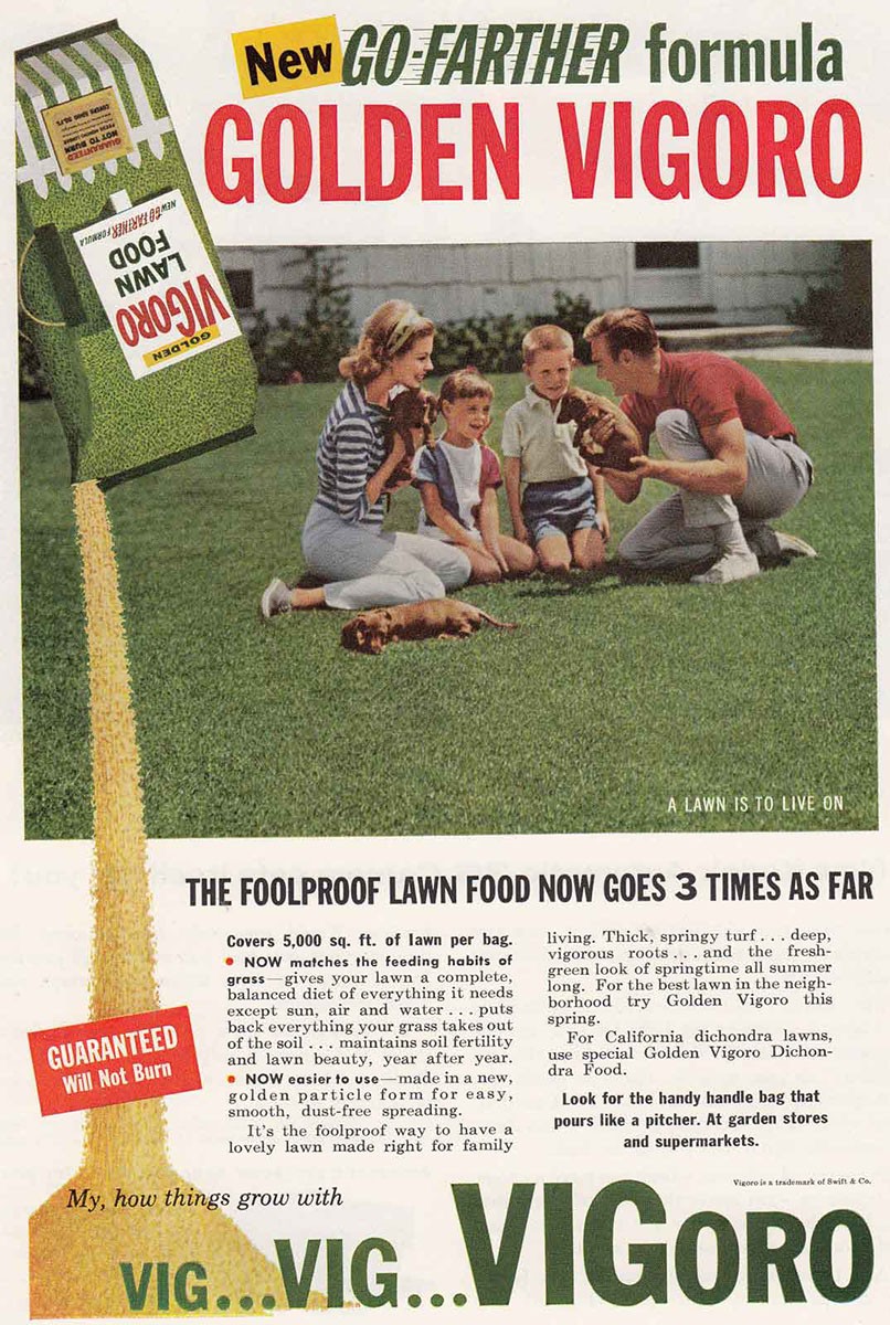 1960 Vigoro: Foolproof Lawn Food Vintage Print Ad