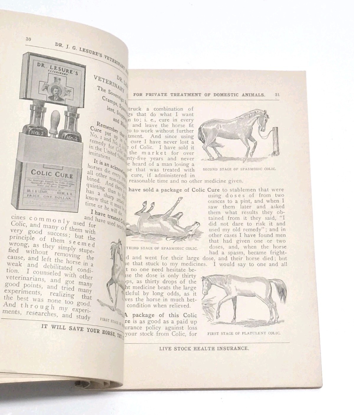 Dr Lesure&rsquo;s Famous Veterinary Remedies Farm Brochure Catalog Keene NH 1908 Rare