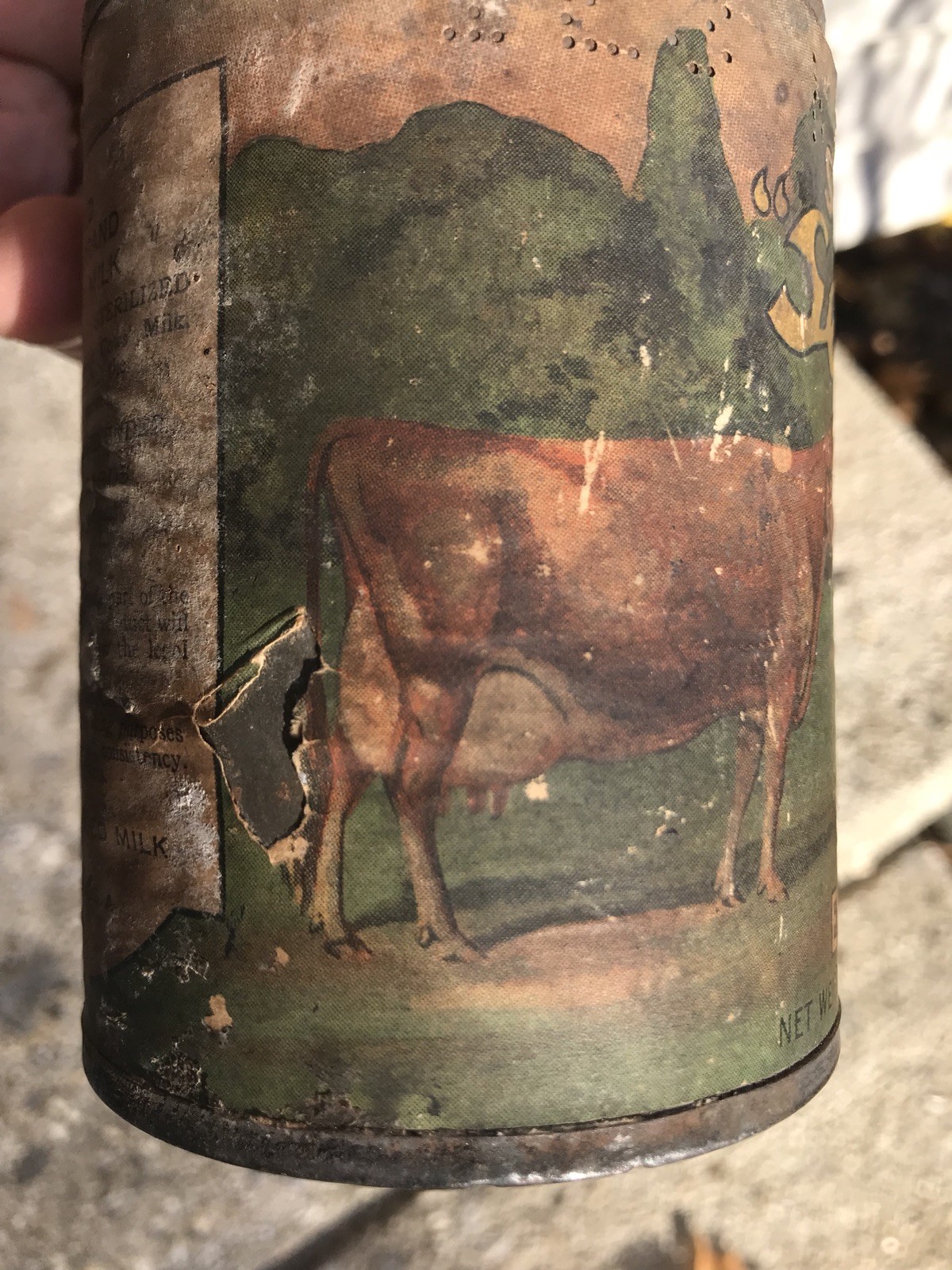 1920&rsquo;s Advertising COW BRAND Sheffield Sealect EVAPORATED MILK ANTIQUE TIN ,RARE