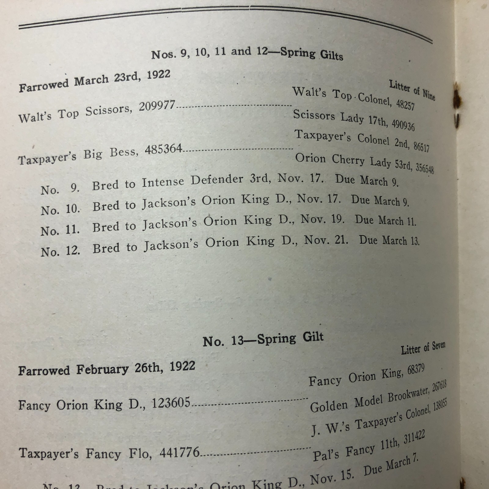Vintage 1923 45-Duroc-45 Bred Sows Sale Booklet
