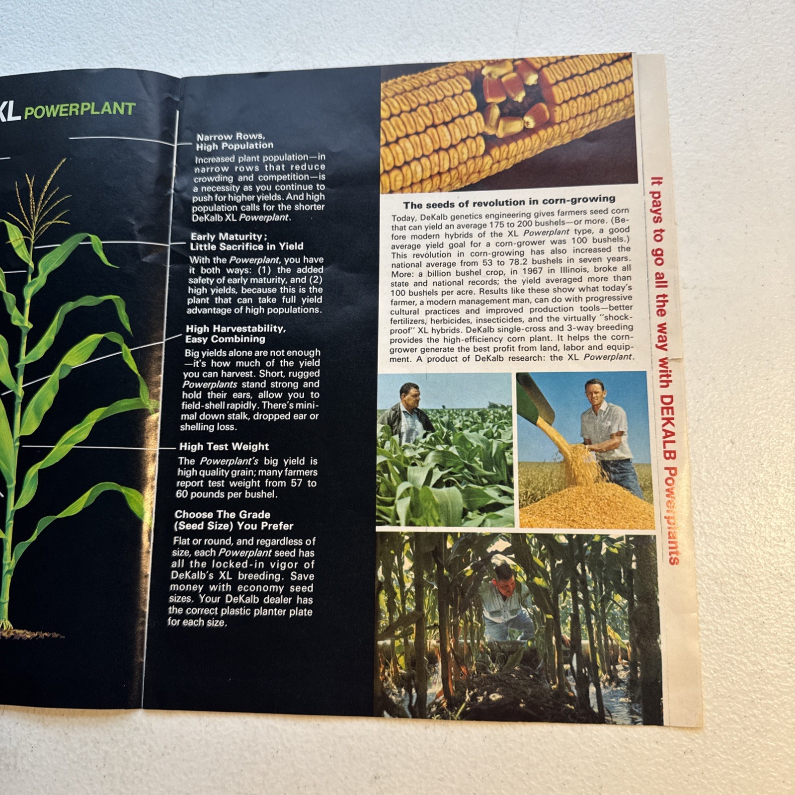 Dekalb Agricultural Association, Inc. XL Power plant Farming Brochure