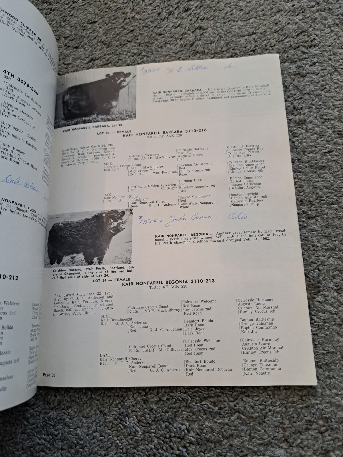 Northwood Spring Shorthorn Sale 1962 Cary Illinois Cattle