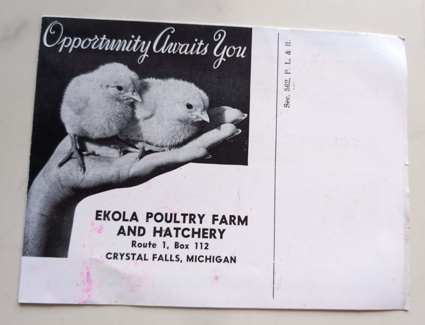 Vtg Ekola Bros. Poultry Farm & Hatchery Price Brochure Crystal Falls, Michigan