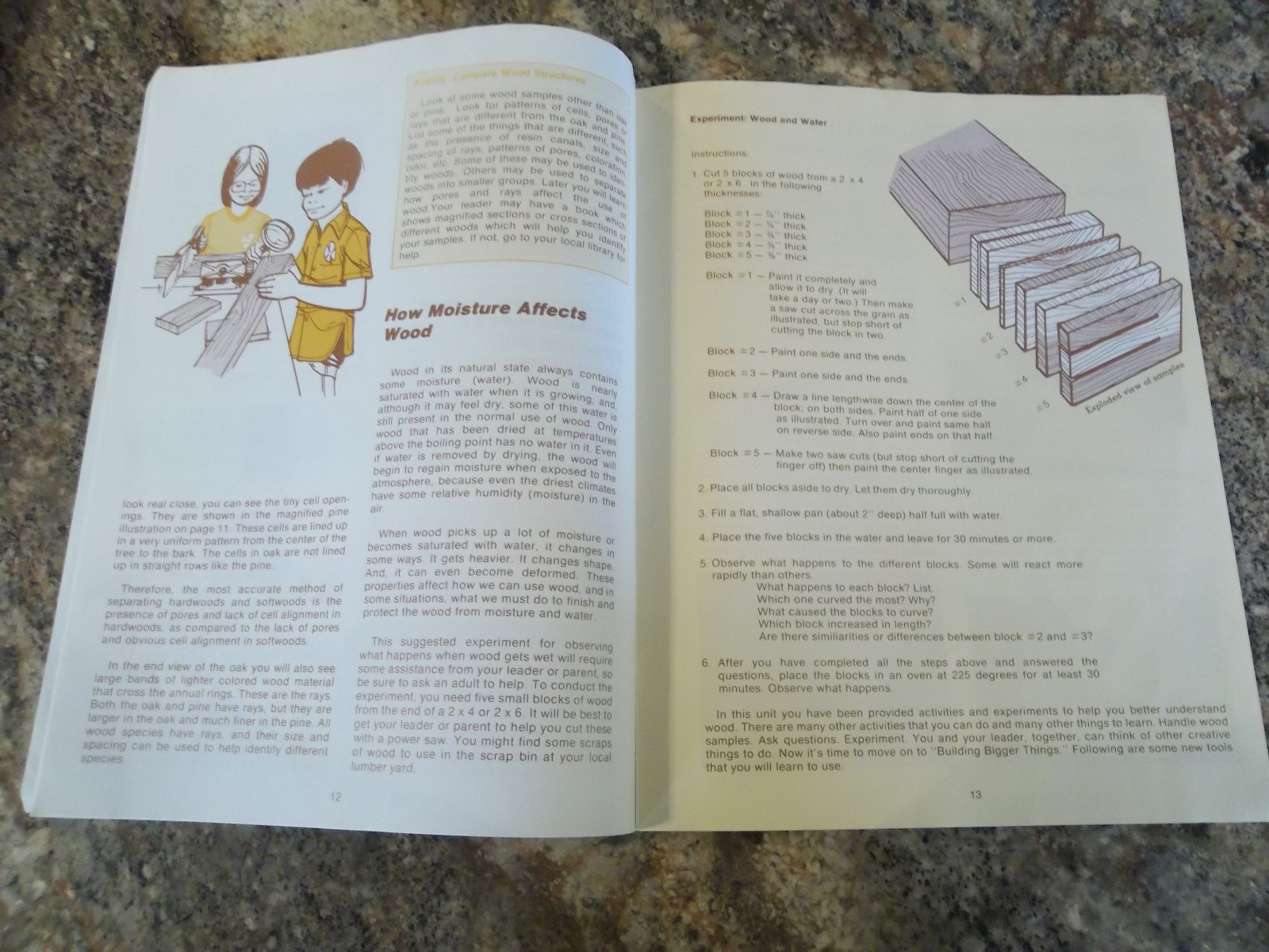 Unit III Member Manual Building Bigger Things National 4-H Wood Science Series