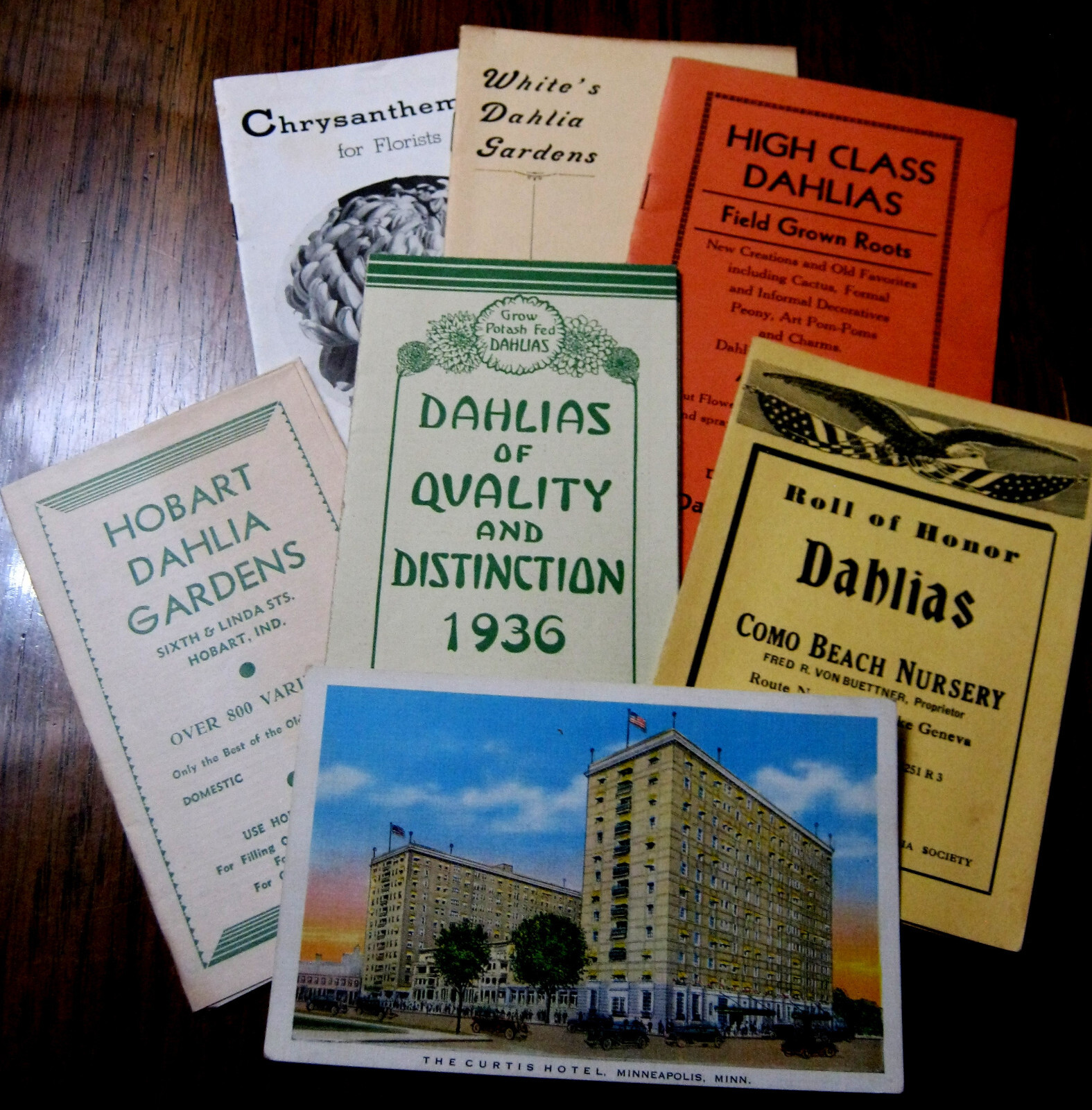 HUGE 1900-50&rsquo;s Collection DAHLIAS & Flower Clubs Seeds BOOKLETS Brochure Letters