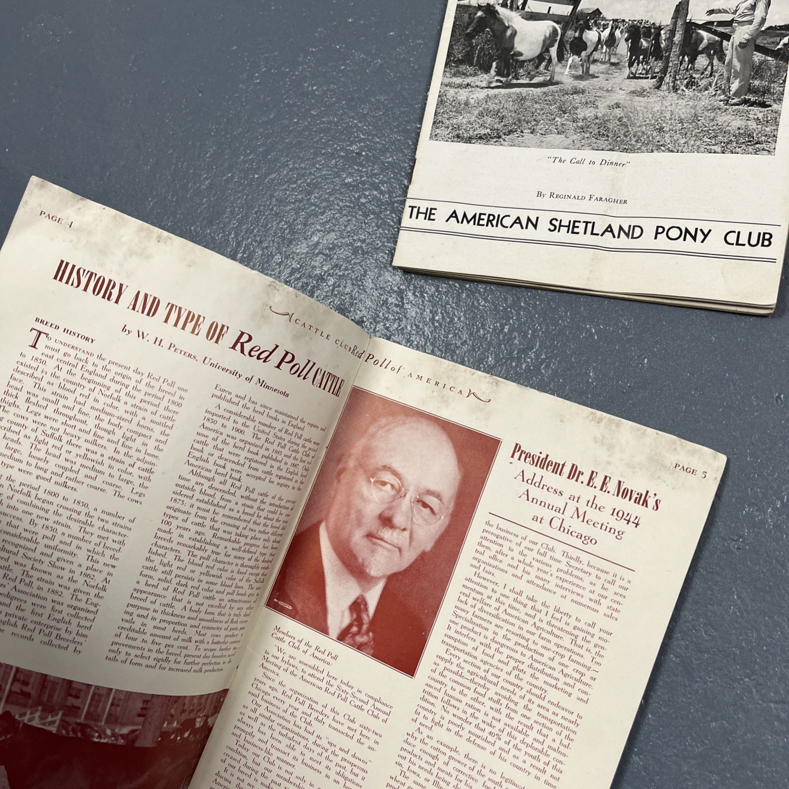 Lot Of Vintage 1930s & 1940s Farming Ephemera Livestock Cattle Club VTG Animal