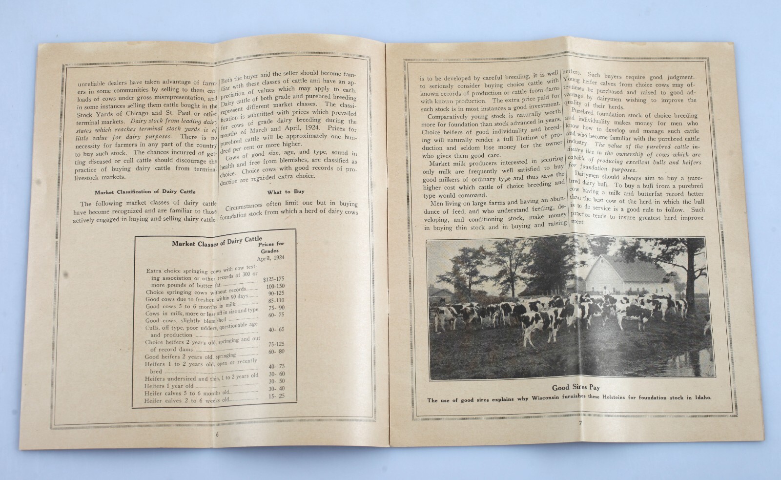 1924 Success With Dairy Cows Booklet Wisconsin College of Agriculture Extension