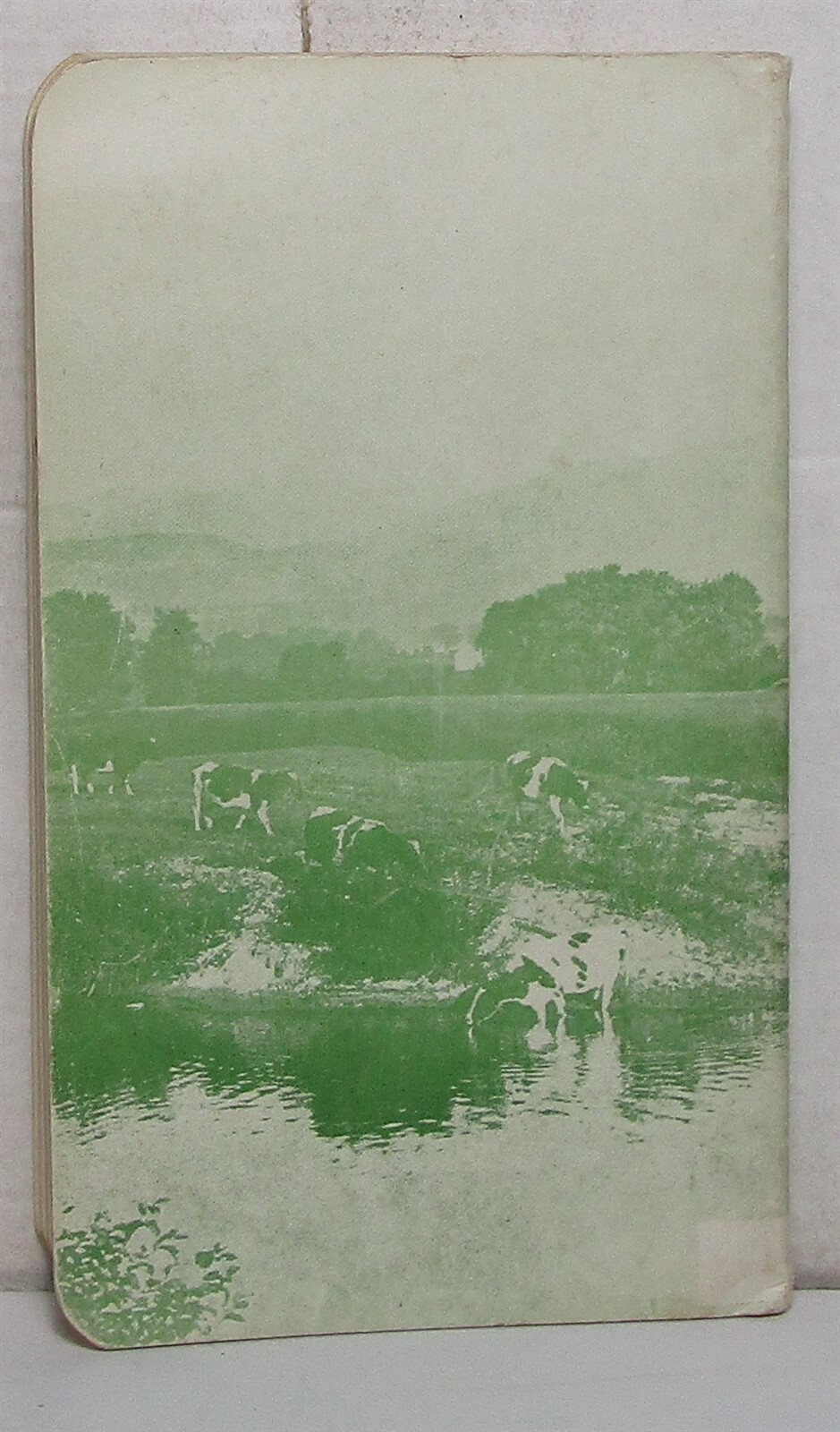 1920s catalog of Manning Manufacturing dairy equipment (Rutland, Vermont)